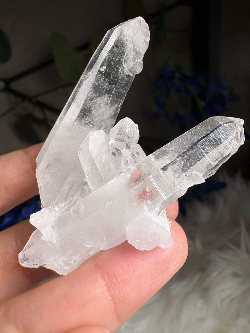 Minerali & Pietre curative: Kolumbianischer Lemurian-Quarz-Cluster – Nuovo (secondo la descrizione) da Neuheim venduto da m.hald 1