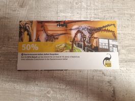 50% Kindereintritt Sauriermuseum Aathal