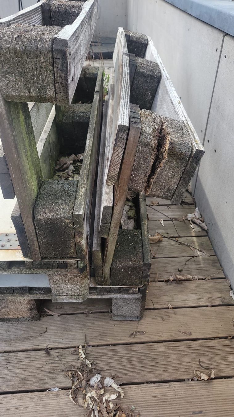 Pallets: Holzpaletten – Difettoso da Bern venduto da Anja200414 6