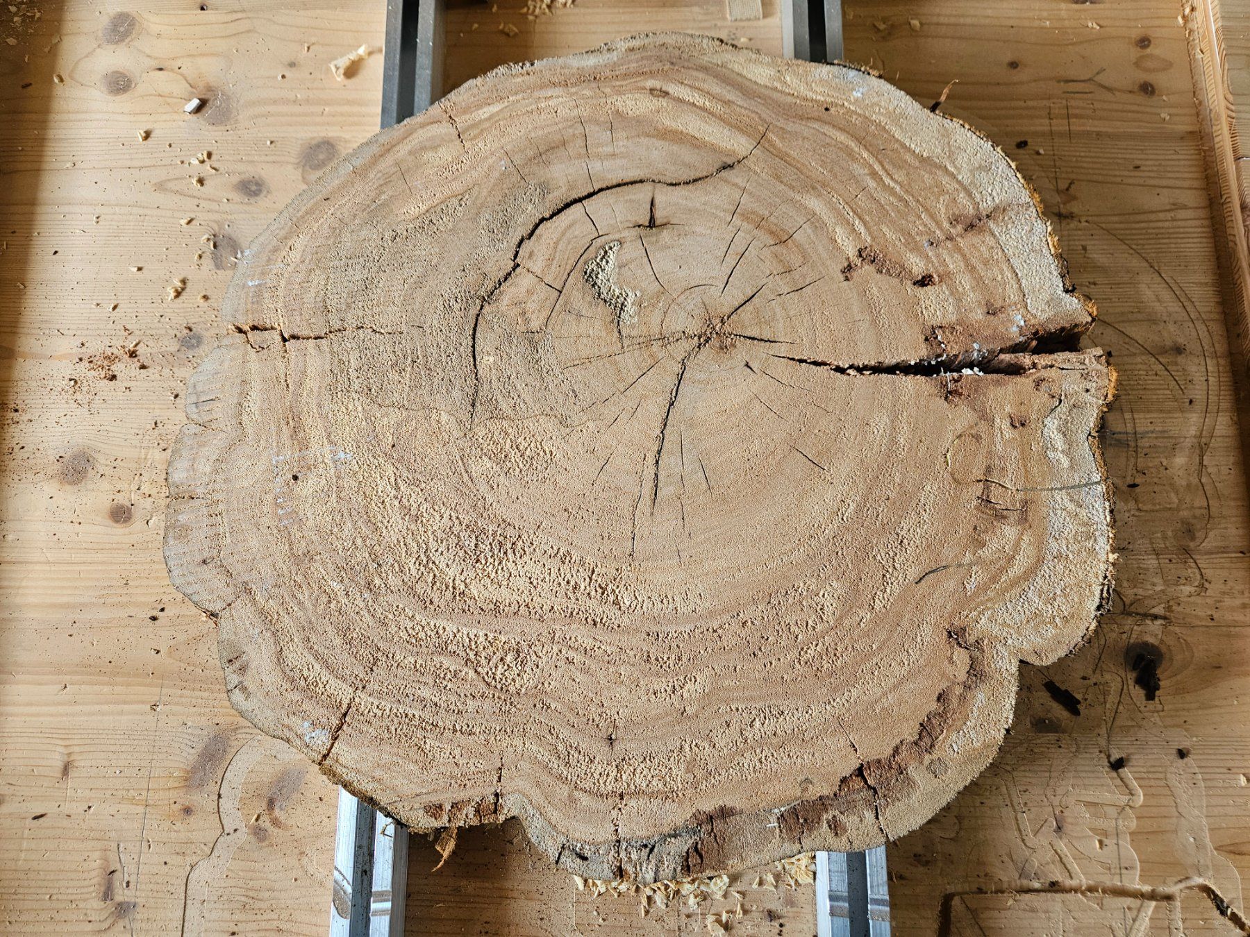 Articles en bois: Baumscheibe Kirschbaum Holz – Neuf (Voir description) à Schangnau par egli6.2 2