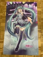 Hatsune Miku, Anime (Stoffbild)