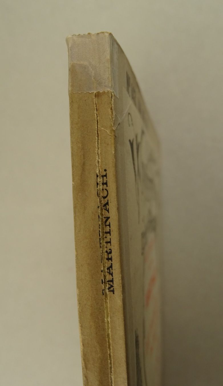 Libri: MARTINACH & DRANSETHÄLER, MARTIGNY, WALLIS, WANDERBILDER – Usato da Grüningen venduto da Kartensammler 9