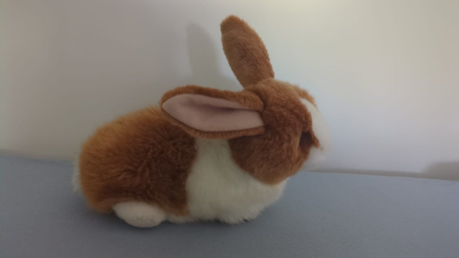 Aurora Giocattoli: Kuscheltier Hase, Aurora – Usato da Hochwald venduto da A3N.