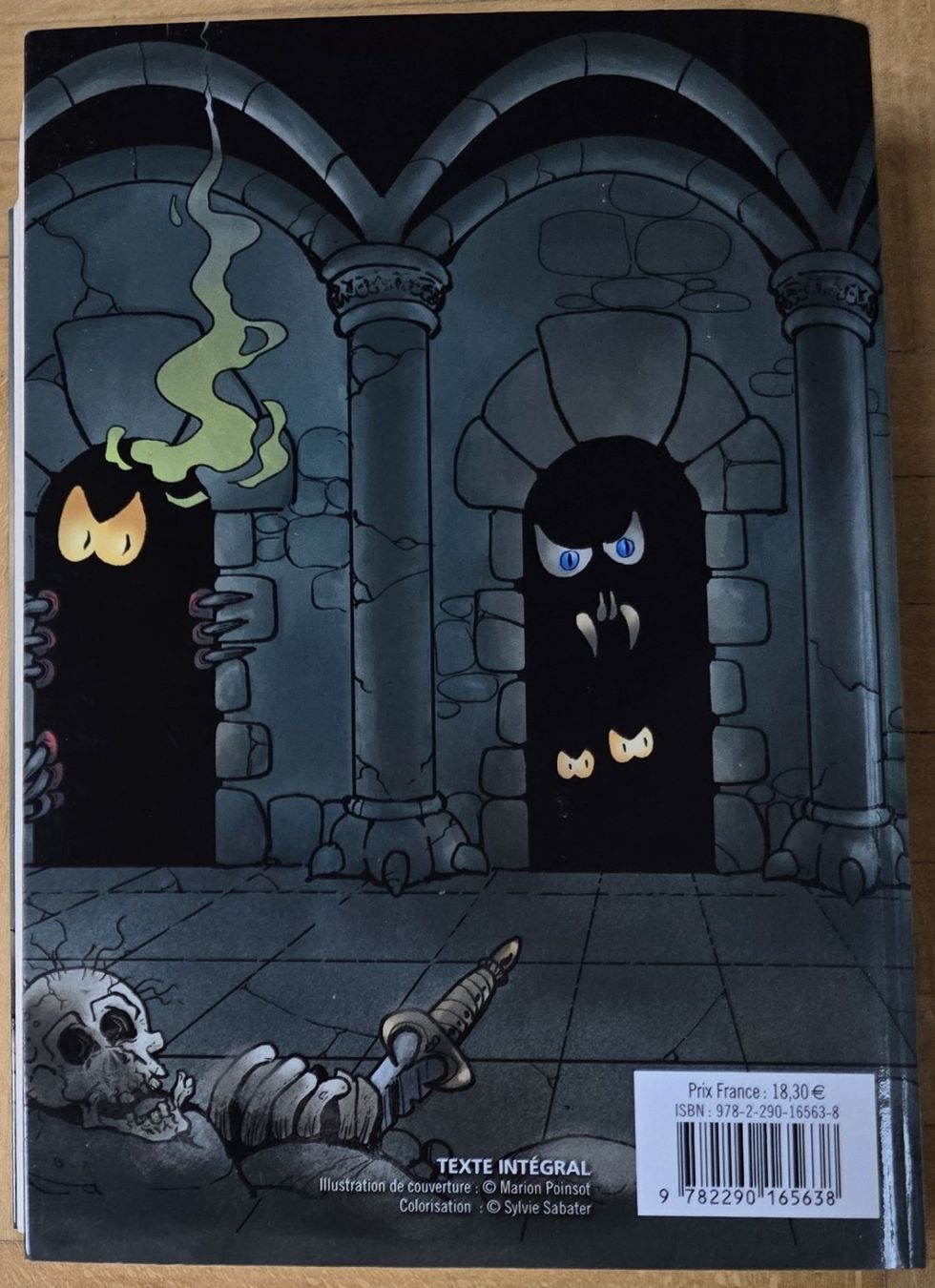 Libri: John Lang : Le donjon de Naheulbeuk - Intégrale 1 – Nuovo (secondo la descrizione) da Froideville venduto da xXSebastienXx 1