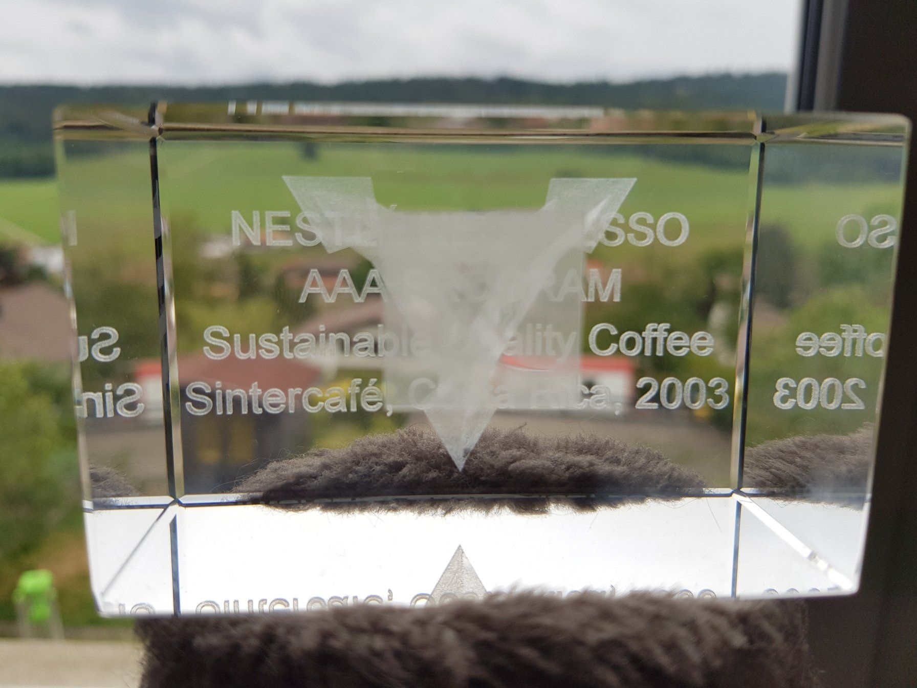 Tutte le decorazioni: Nespresso trophée gravé laser collection design collection – Usato da Tramelan venduto da Art-rider 5