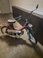 Sachs Gipsy 535