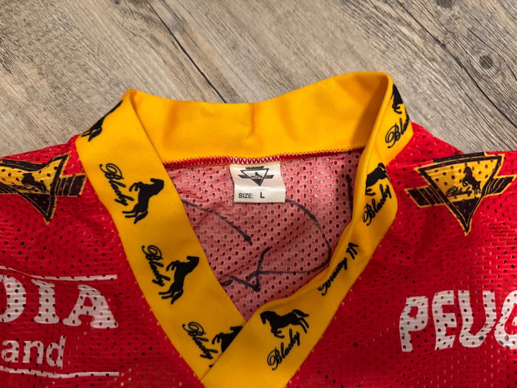 Canottiere & Pantaloni: SCB Trikot – Usato da Burgdorf venduto da Caradhras 5