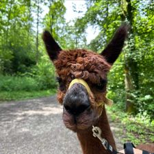 Profile image of pixelio