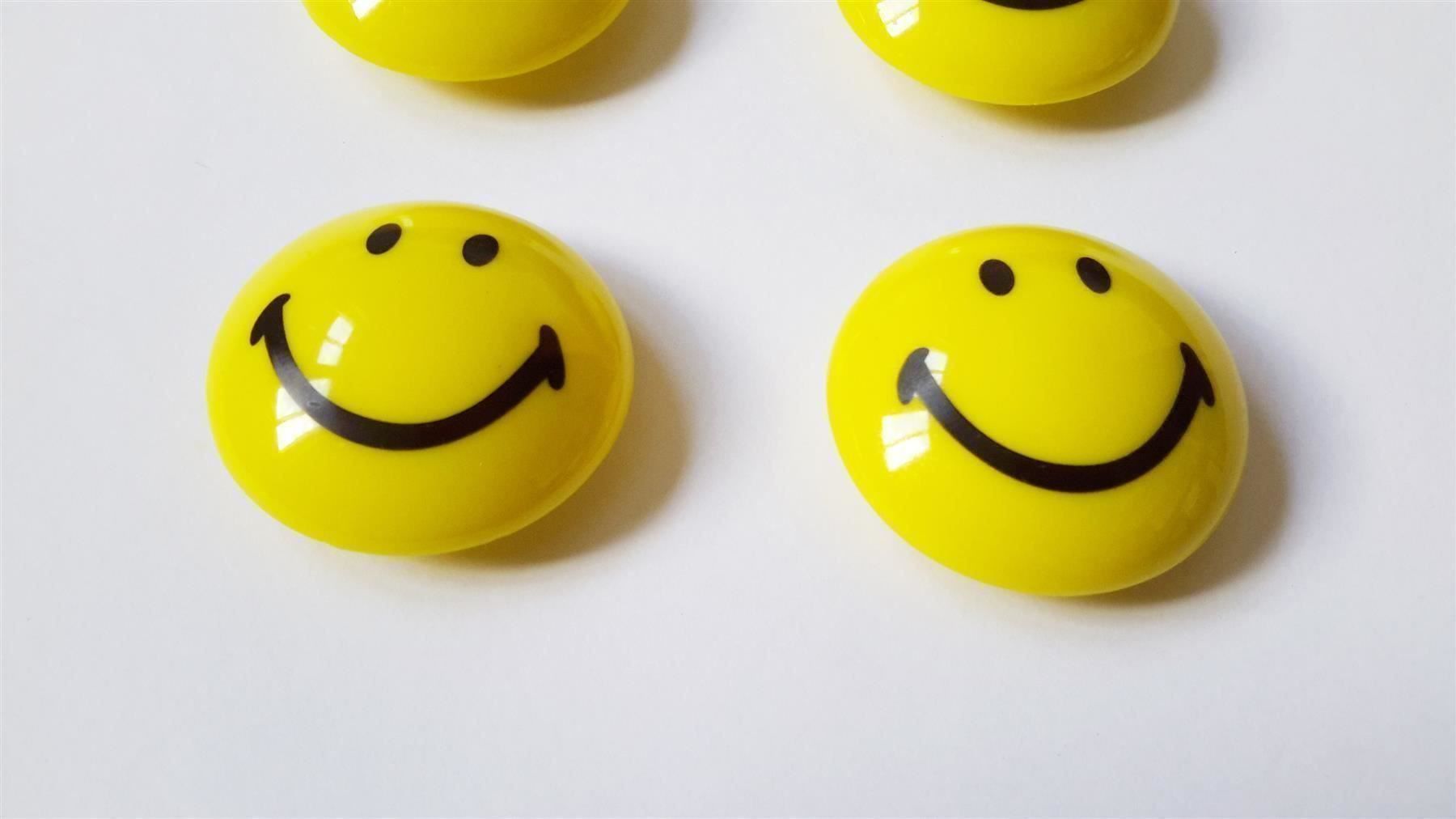 Calamite: Magnete Smiley 4 Stück, 40 mm – Nuovo e nell'imballaggio originale da St. Gallen venduto da cointec 8