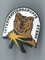 Polizei Interventionsgruppe Stern Pin