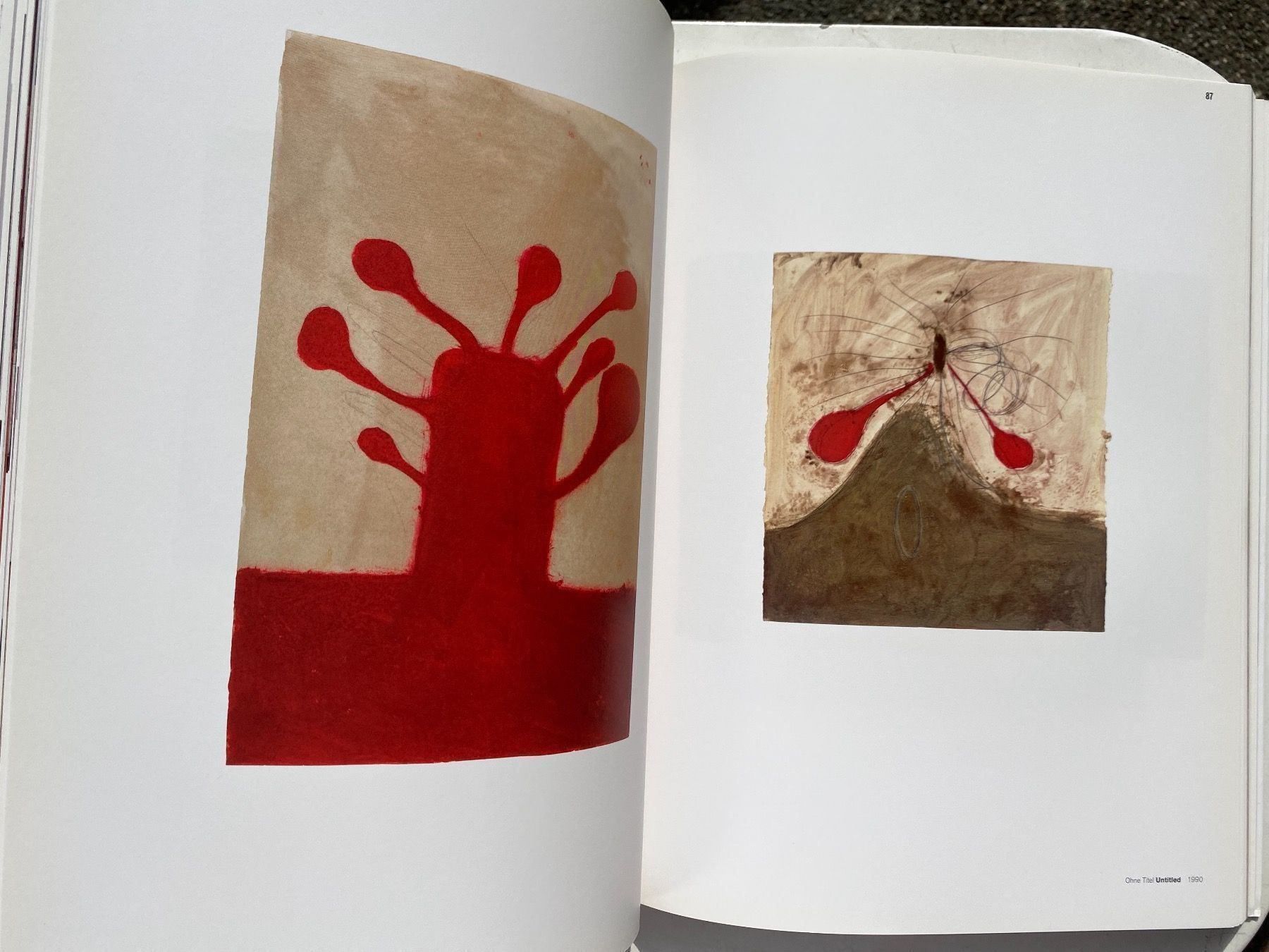 Libri: ANISH KAPOOR - SHOOTING INTO THE CORNER – Nuovo (secondo la descrizione) da Zürich venduto da lesgarcons 3