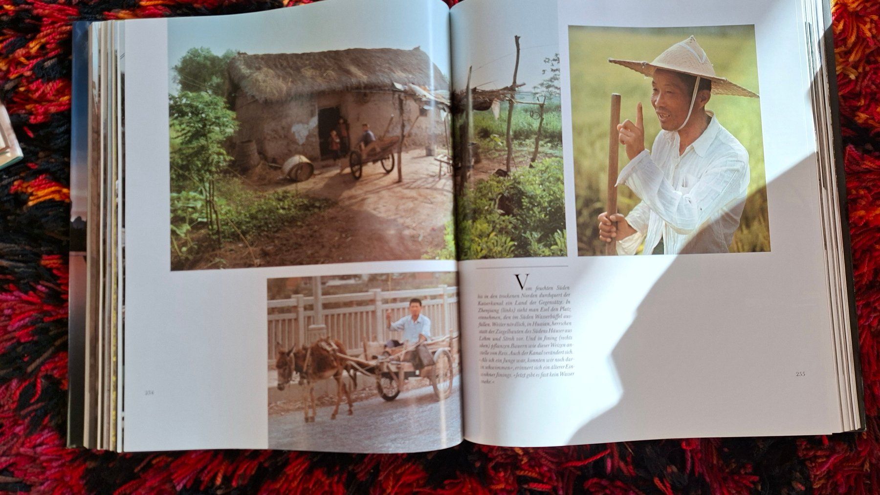 Libri: National Geographic: China – Usato da Weiningen ZH venduto da Annakatharina 2