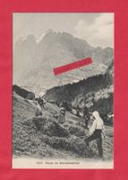 Heuer im Grindelwaldtal Lichtdruck anno 1910
