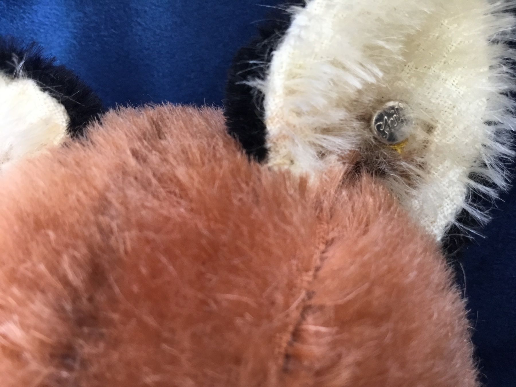 Steiff Jouets: Steiff Handpuppe Fuchs – D'occasion à Gossau ZH par ClaudealDente 1