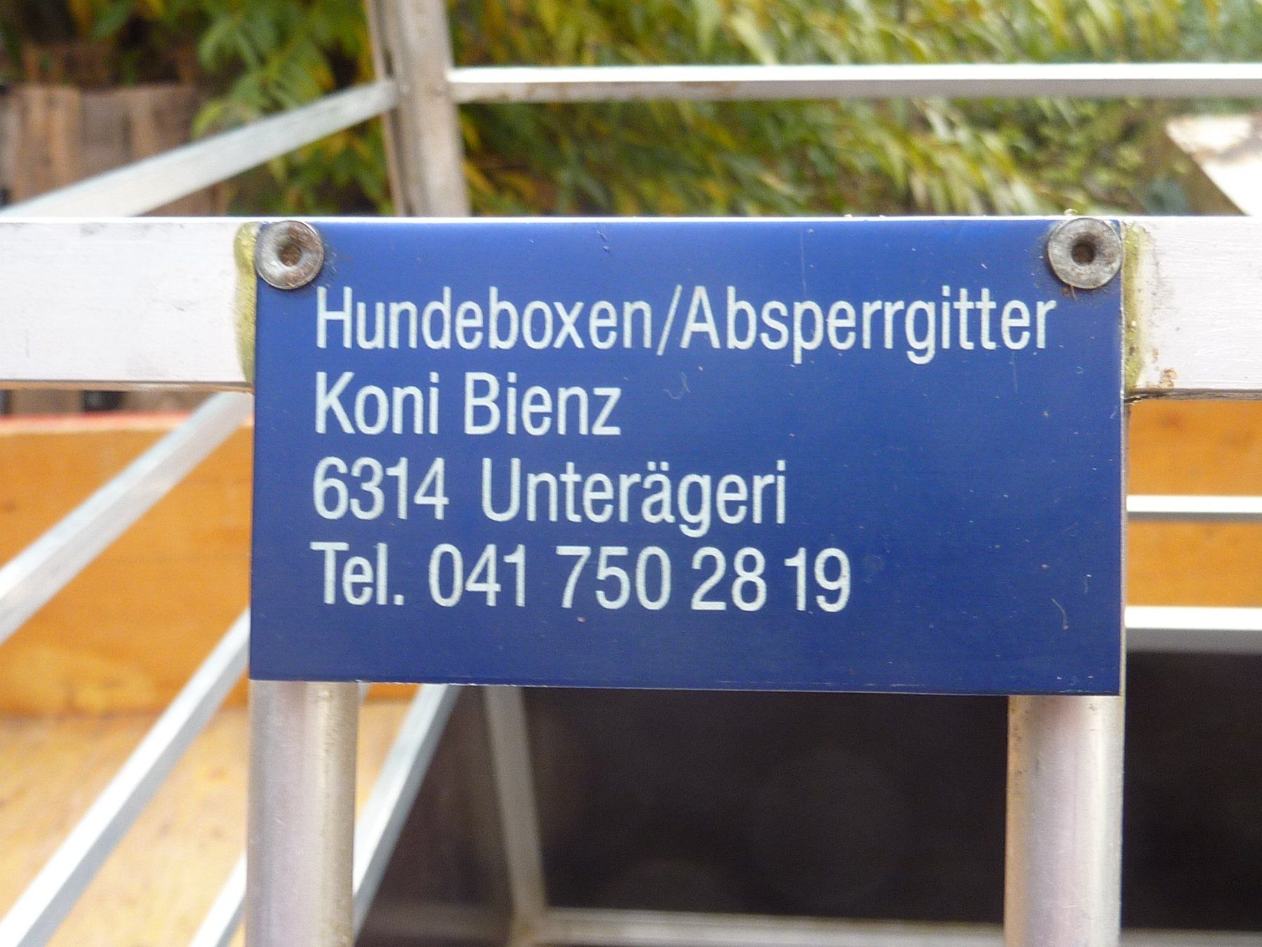 Gabbie, trasporto & Sicurezza: Hundebox – Usato da Osterfingen venduto da Fritzli052 1