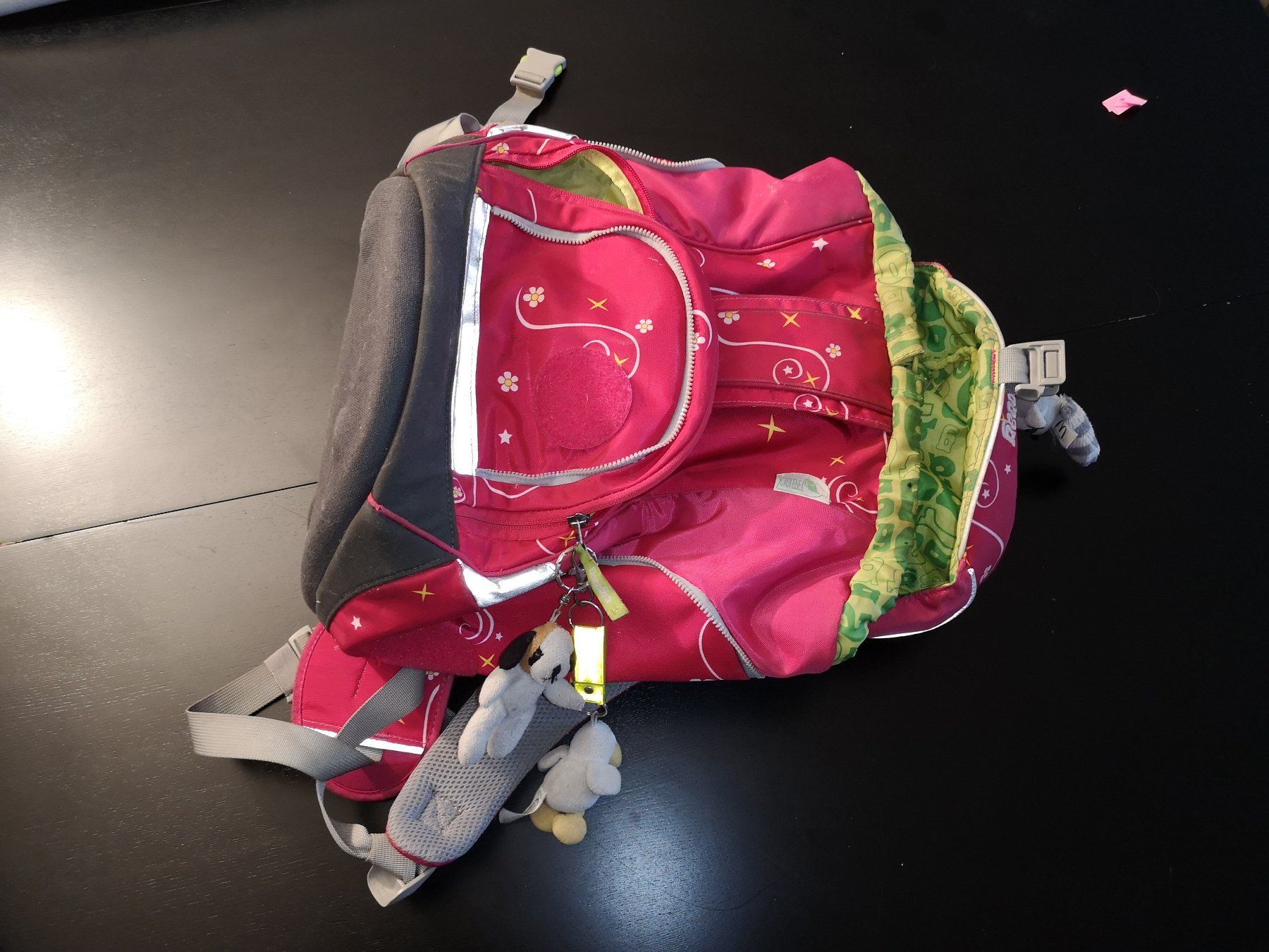 Ergobag Borse & Zaini: Ergobag Schulrucksack für Mädchen – Usato da Liestal venduto da Gitterli01 3