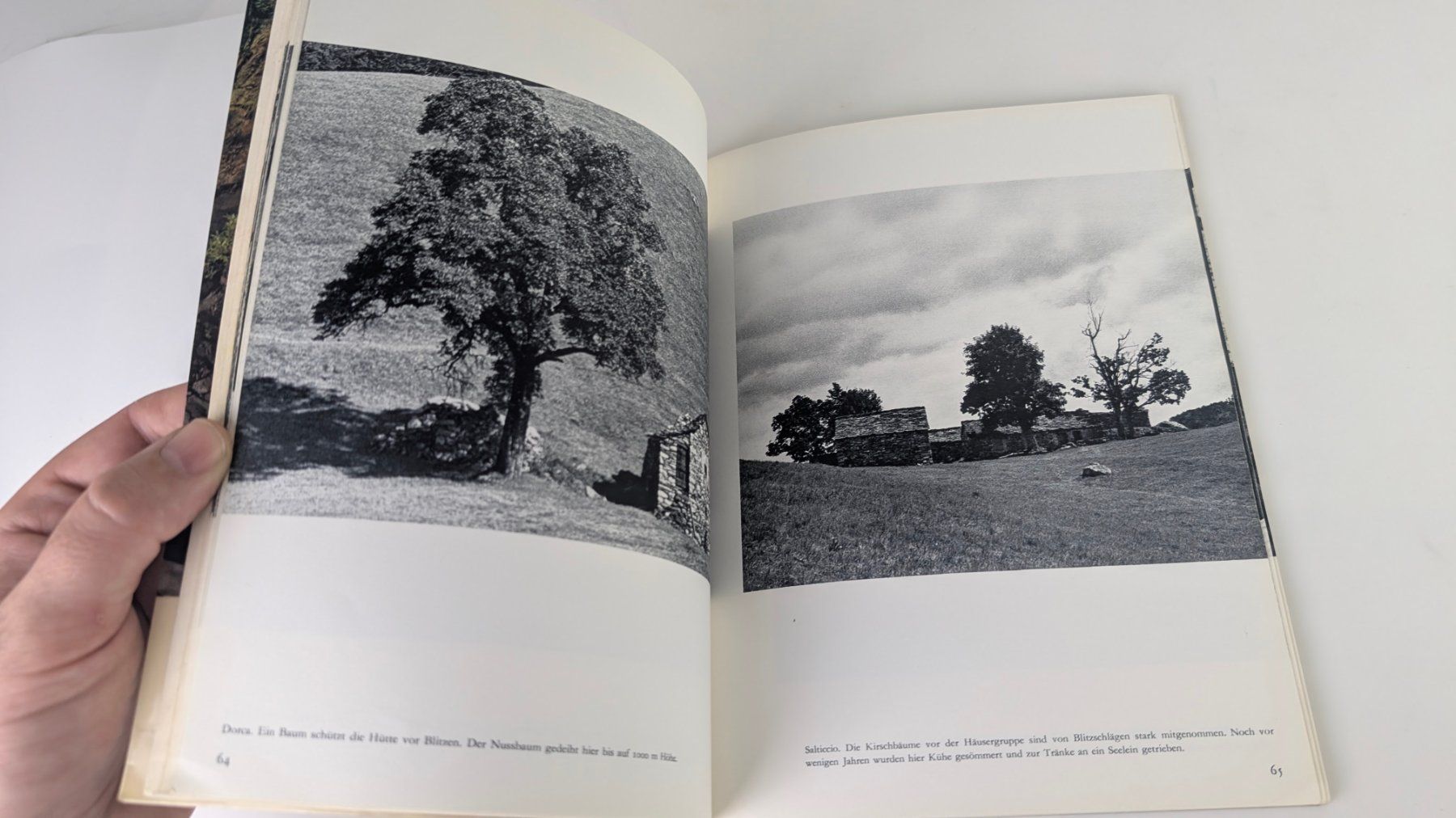 Libri: Schweizer Heimatbücher: Die Centovalli 1972 – Usato da Zürich venduto da axolottchen 6