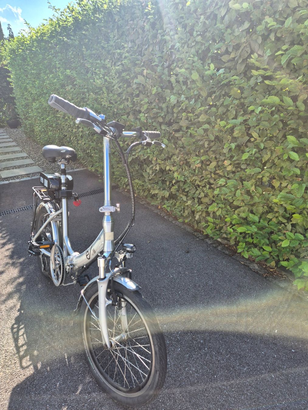 Velos: ePfeil W2 – Gebraucht aus Mellingen von mio09 1