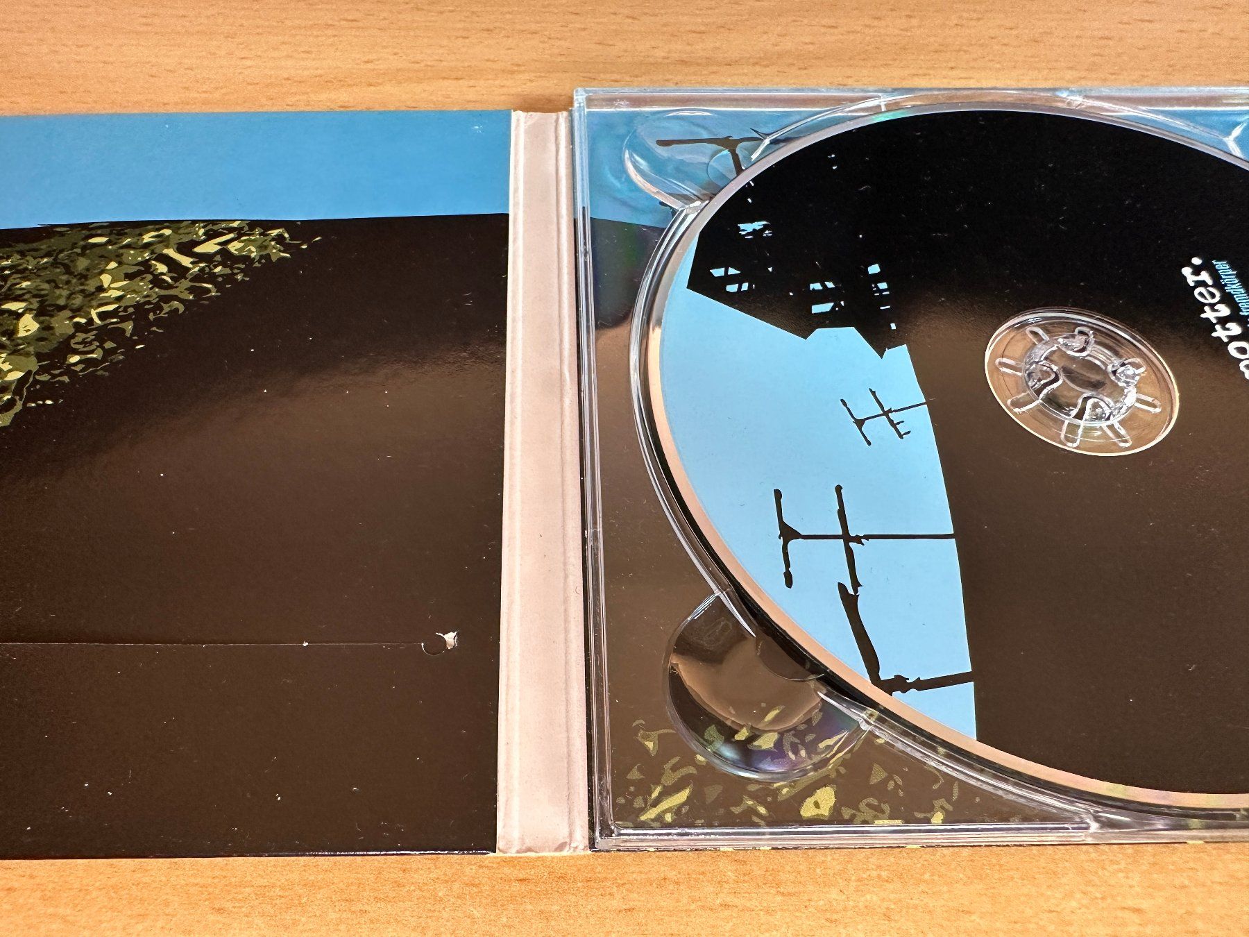 CD: Muff Potter – Steady Fremdkörper – Usato da Rikon im Tösstal venduto da Alpenmutz 2