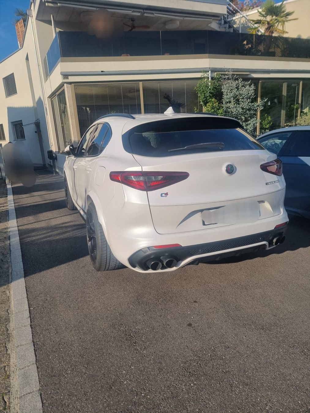Alfa Romeo Automobili: Alfa Romeo Stelvio 2.9 V6 Q4 – Usato da Erlinsbach venduto da XTUTTI 2