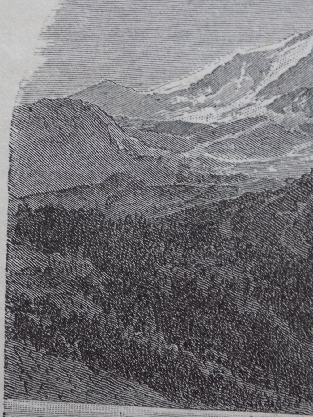 Incisioni: Silvaplana Engadin – Usato da Risch venduto da Rischli15 3