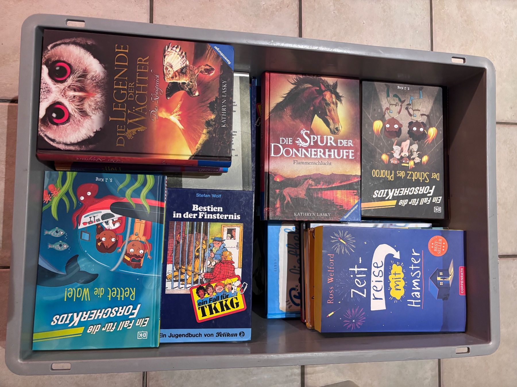 Livres: Bücherkiste Kinder/Jugend – D'occasion à Busswil BE par ErikaR