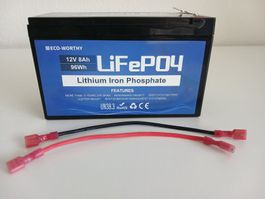 Batterie au lithium fer phosphate Eco-Worthy LiFePO4
