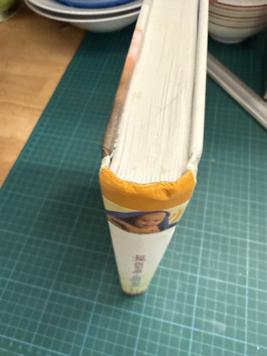 Libri: Buch Unser Baby - Das erste Jahr – Usato da Luzern venduto da Andrinos 1
