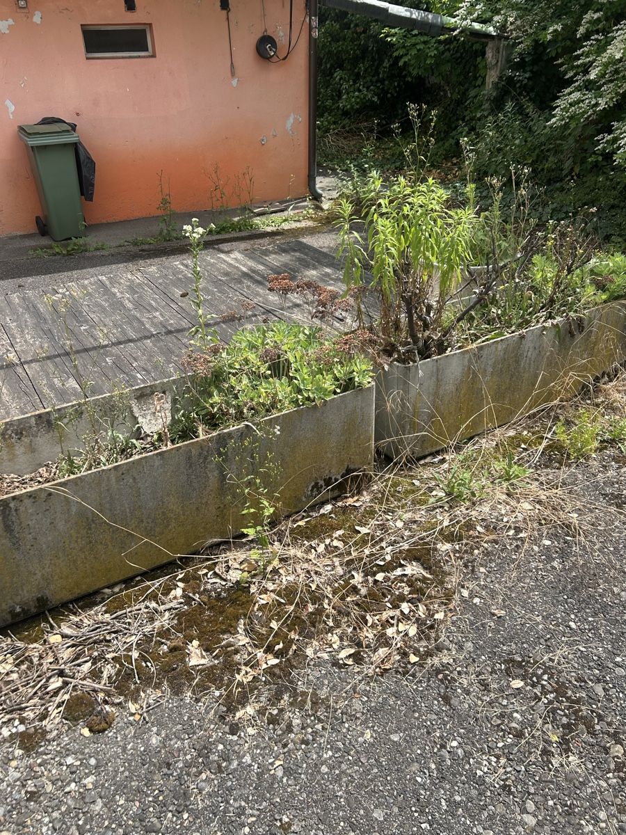 Blumentöpfe: Blumen Topf   – Gebraucht aus Basel von Krisztina.na