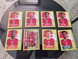 8 Canada WM 2026 Sticker Panini Top Zustand!