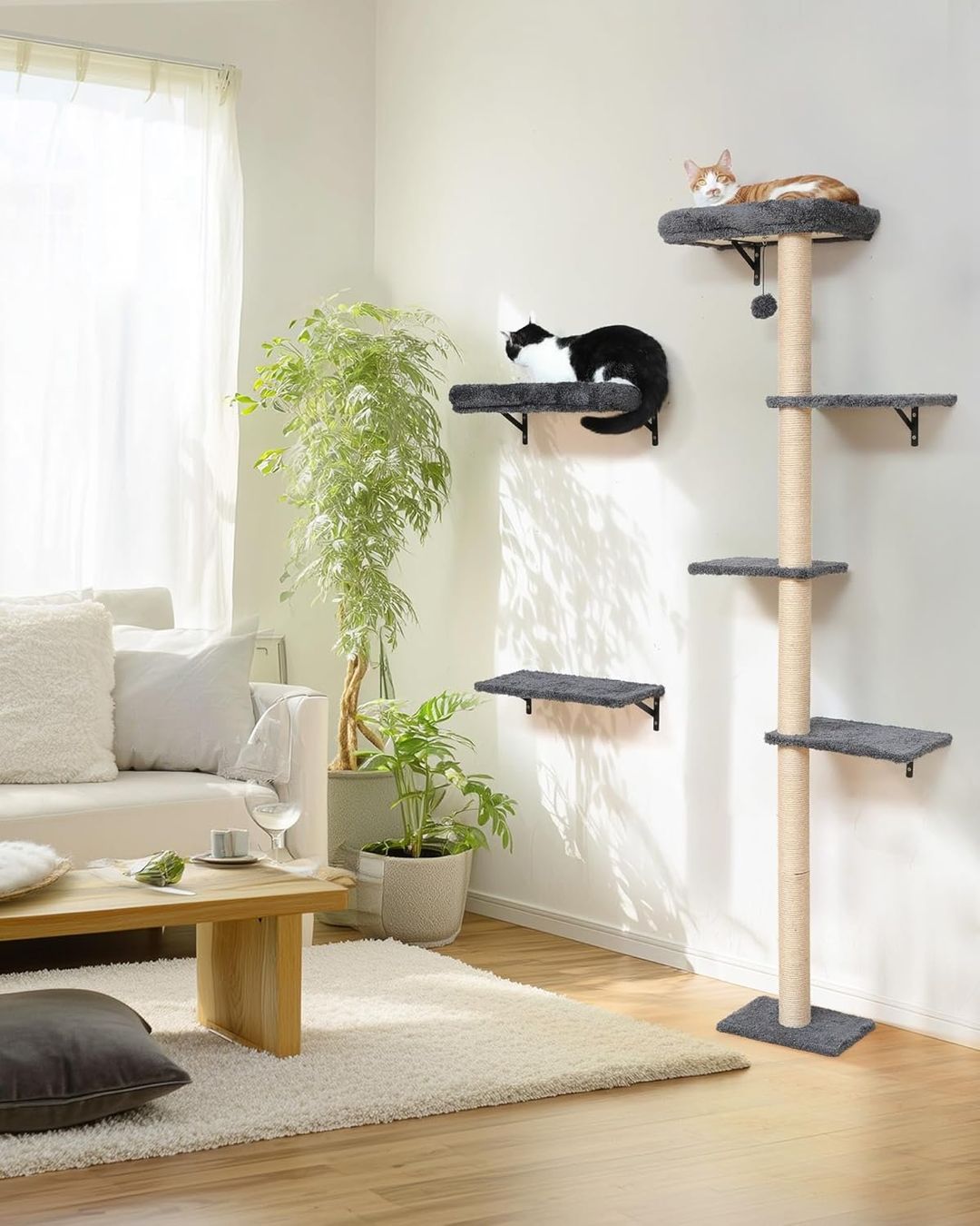 Pareti & prese d'arrampicata: Kletterwand Katzen-Set, 178 cm hoch – Nuovo e nell'imballaggio originale da Oberentfelden venduto da ase_sk8n 2