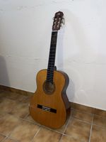 Guitare et housse 