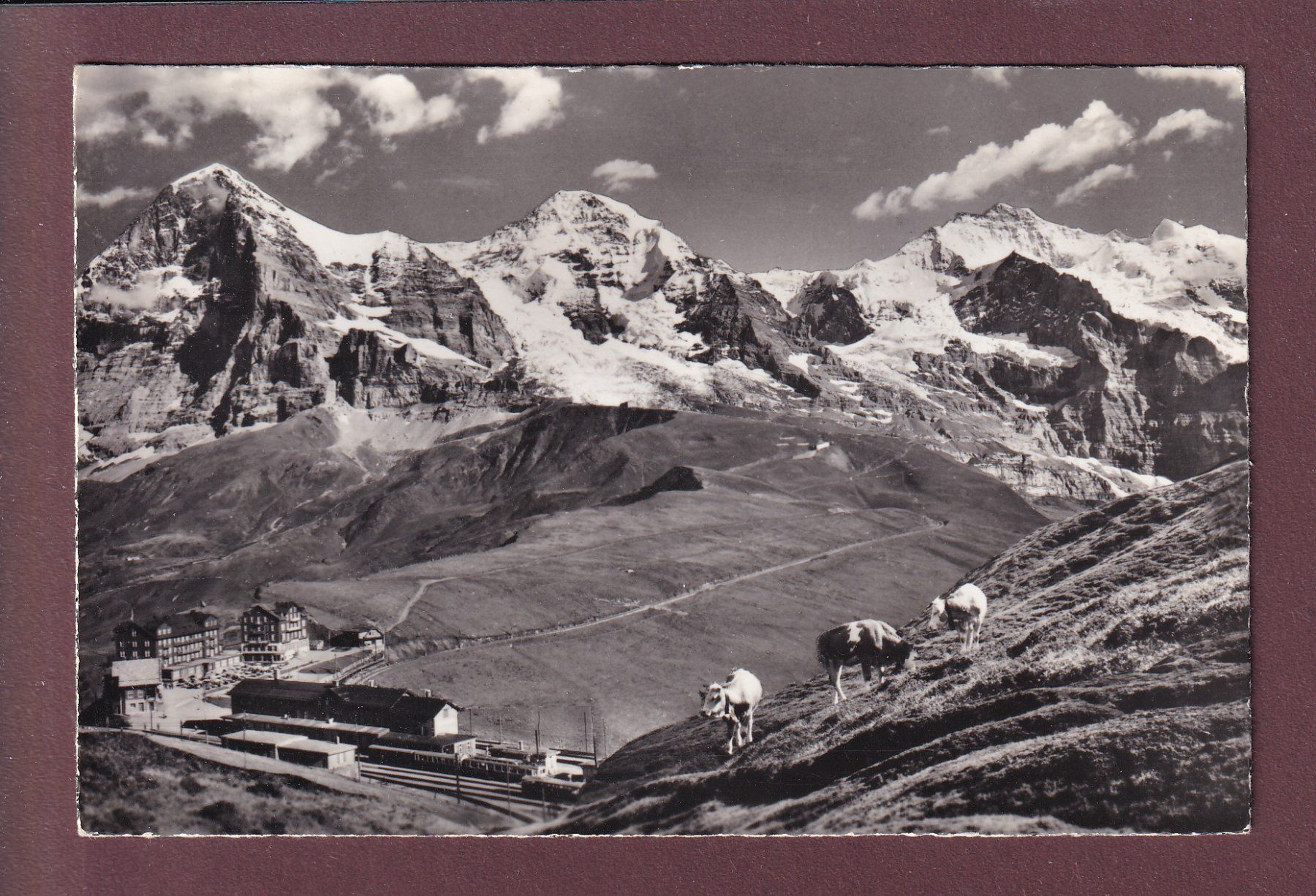 Ansichtskarten: KLEINE SCHEIDEGG - 1954 – Gebraucht aus Pully von nicecards