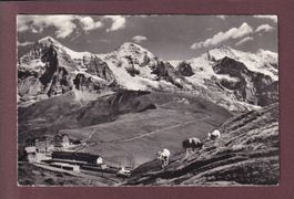 KLEINE SCHEIDEGG - 1954