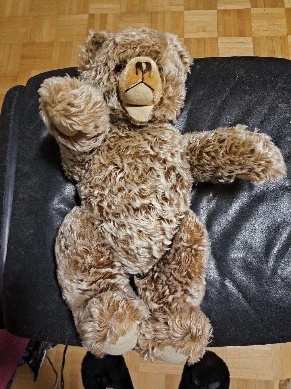 Steiff Giocattoli: Vintage Steiff Bär Zotti 53 cm – Usato da Gipf-Oberfrick venduto da hituliina