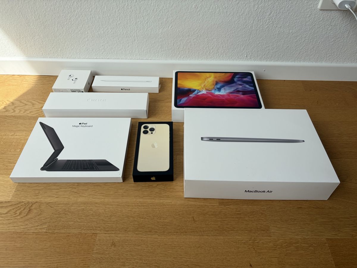 Casse di trasporto: Apple Schachteln – Usato da Horw venduto da Mioli98 1
