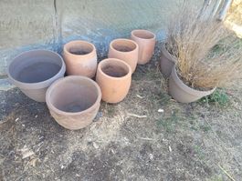 diverse Töpfe Ton und Kunststoff 