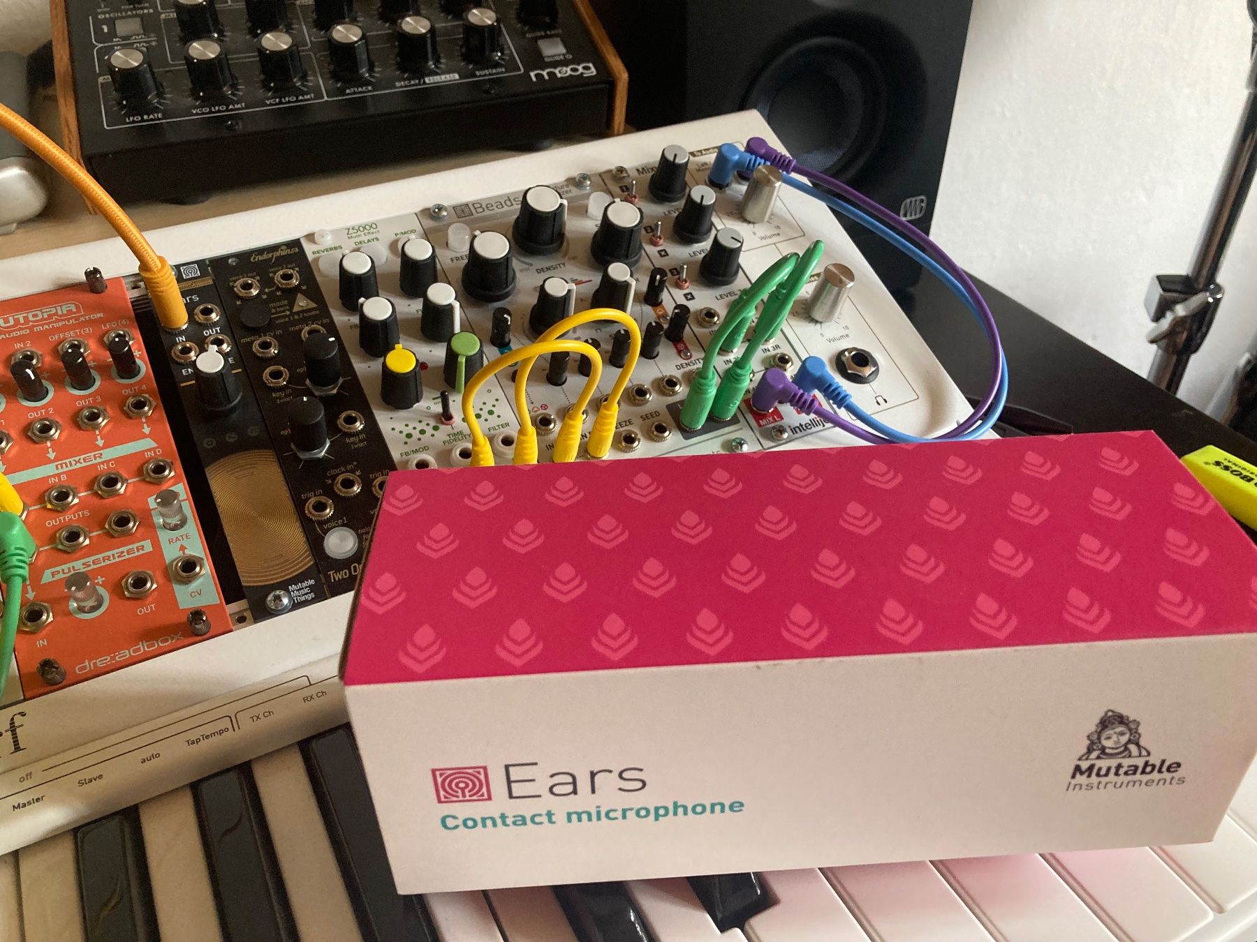 Instruments de musique: Mutable Instruments - Ears – D'occasion à Olten par chrisdubonheur 1