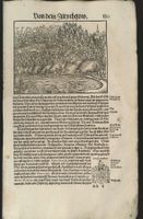 Morgarten Schlacht Holzschnitt von Stumpf 1548