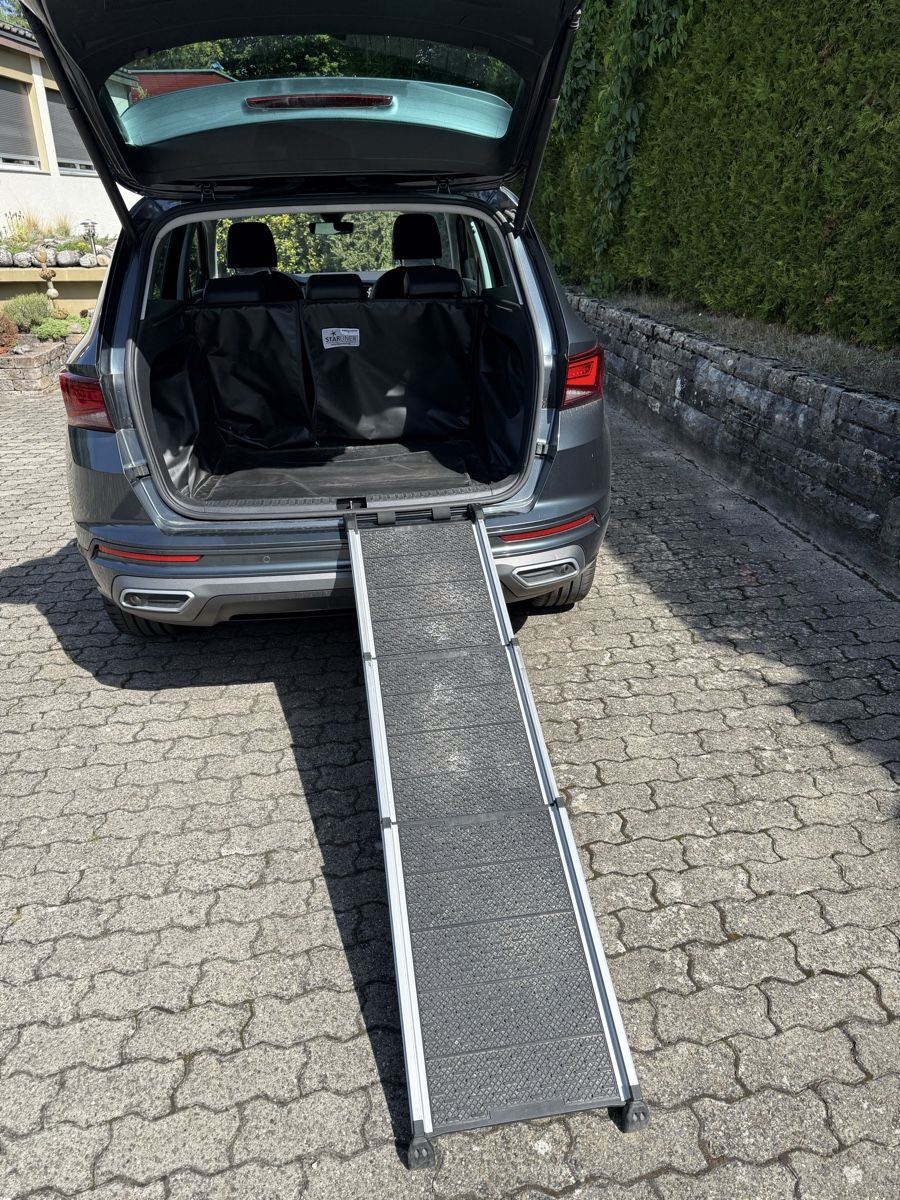 Käfige, Transport & Sicherheit: Hunderampe Kleinmetall – Gebraucht aus Zollikofen von Rliane 1