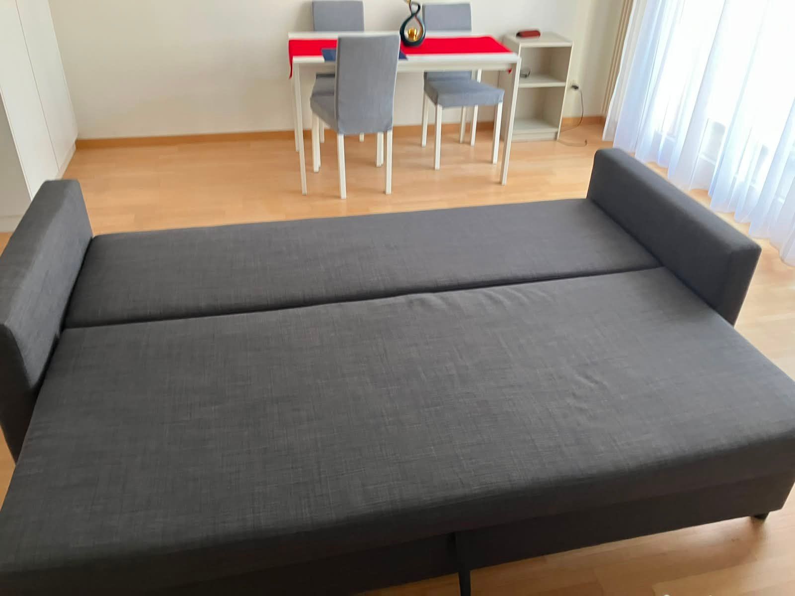 Ikea Divani: IKEA Friheten Sofe/Bed - Grey – Usato da Schaffhausen venduto da gdi_6st5 1