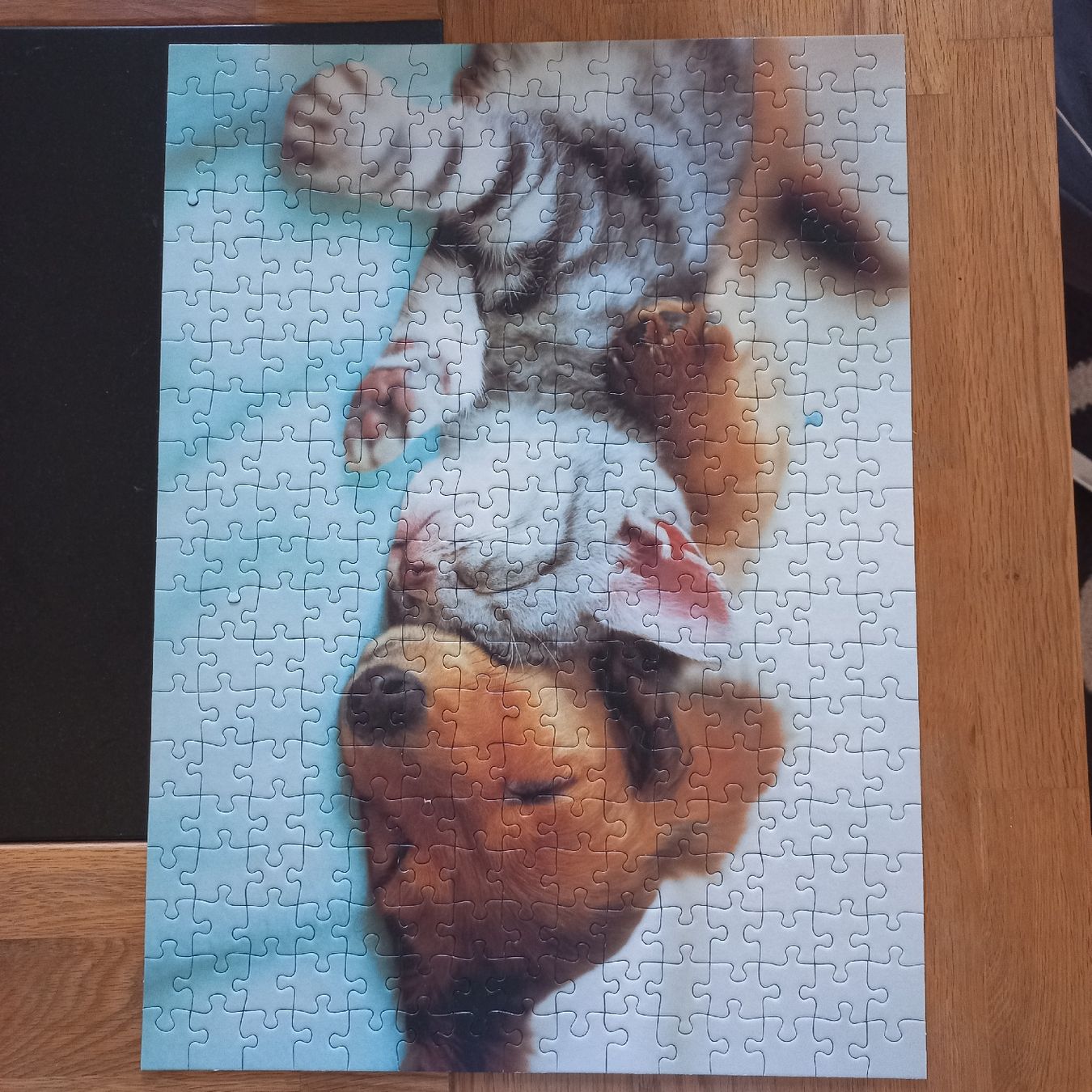 Ravensburger Puzzle: Puzzle Ravensburger 2× 300 pièces  – Nuovo (secondo la descrizione) da Dompierre FR venduto da fat_xth5 4