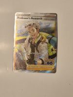 Professor's Research - Professor Willow (PGO 078) in english