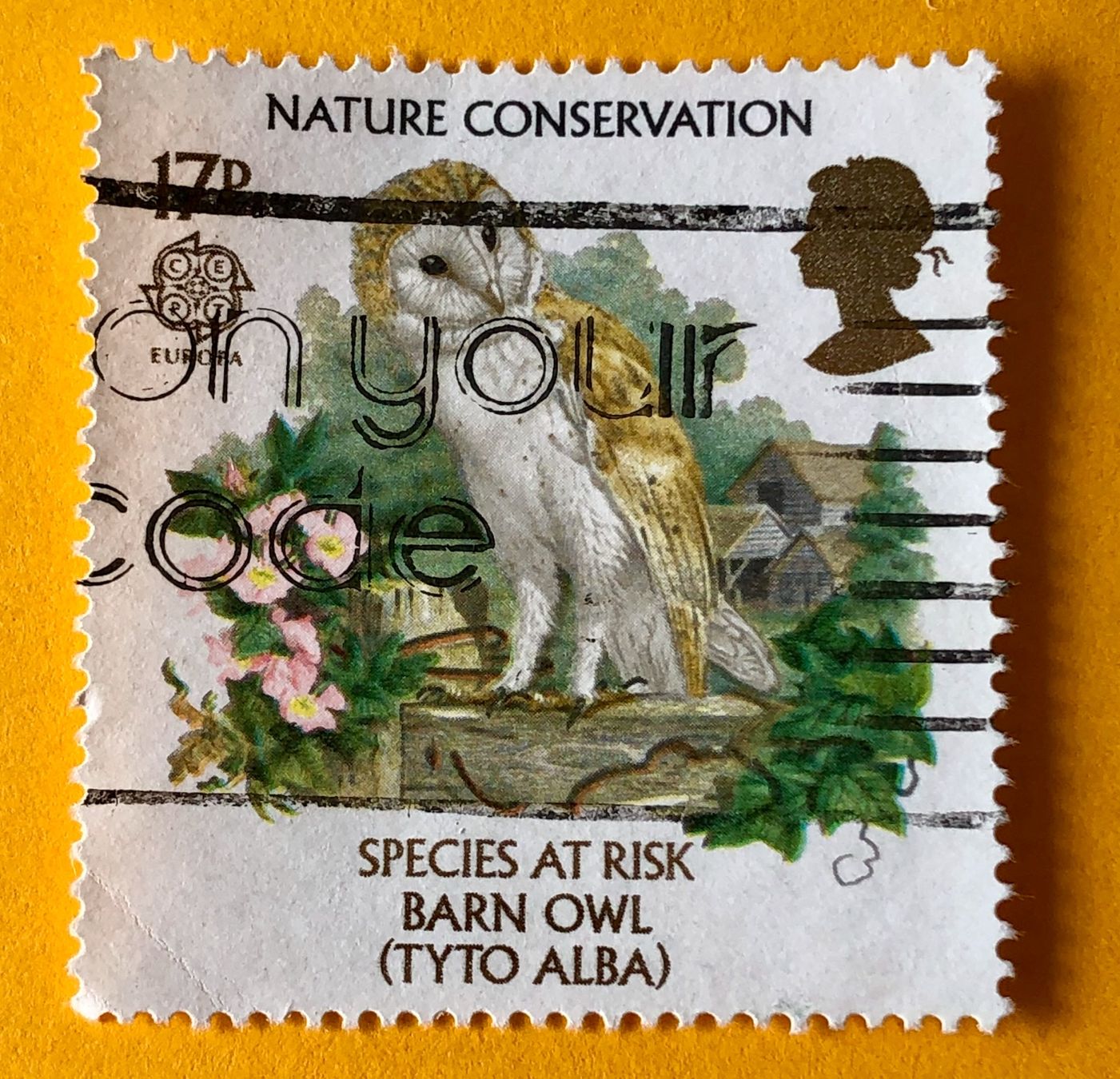 Tous les timbres: BRIEFMARKEN AUS  Großbritannien GESTEMPELT  – D'occasion à Aarau par Angi-007