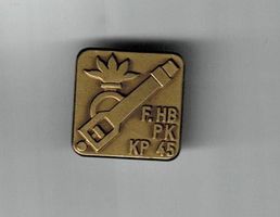 Pin