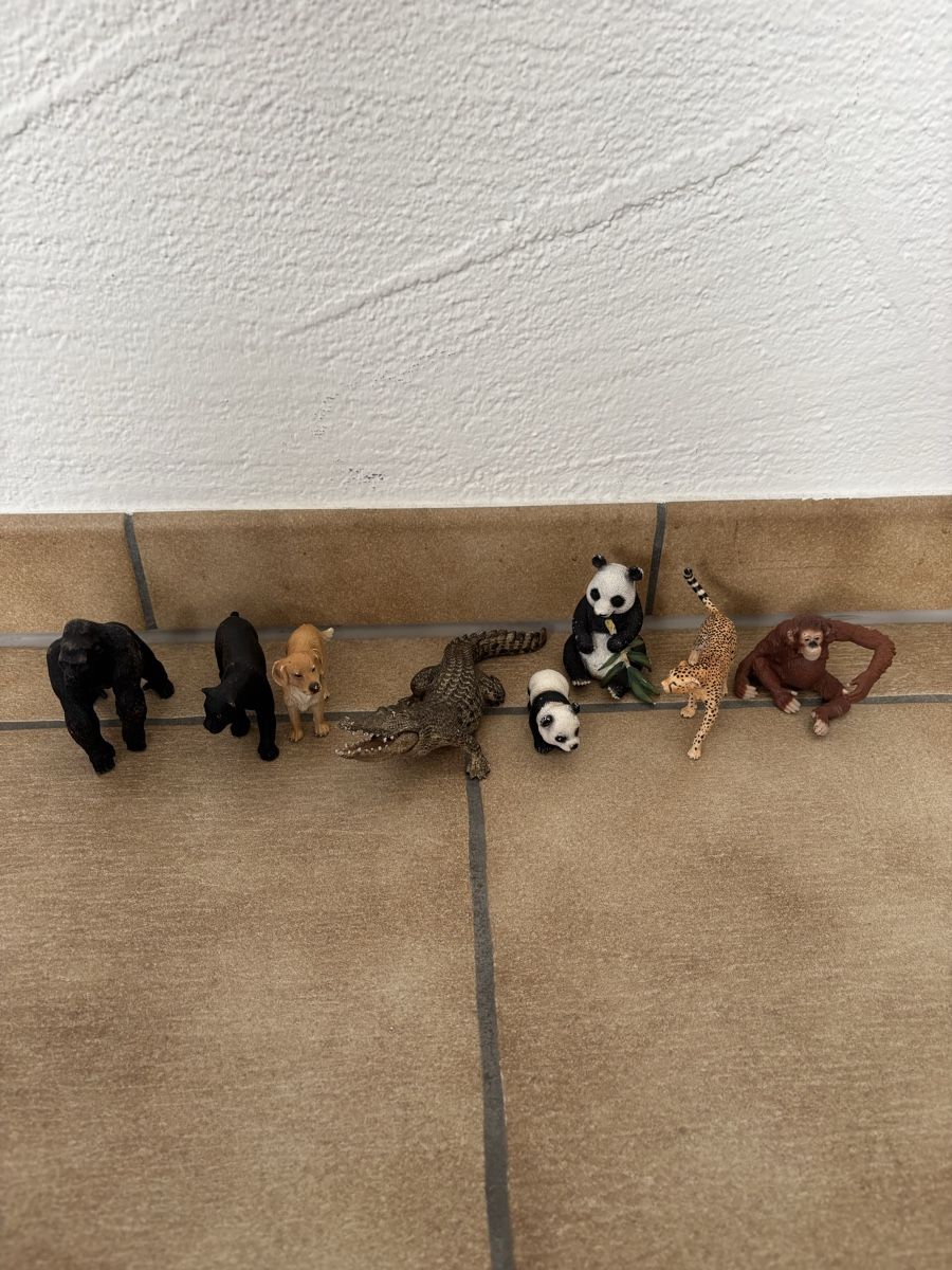 Schleich Figurines: 8 Schleich Tiere – D'occasion à Bachenbülach par Queen_K