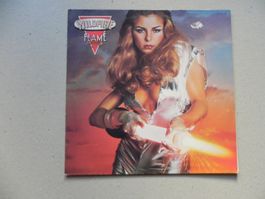 LP USA Soft Rock Band Wildfire 1977 Flame Thrower