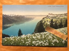 Alte Ansichtskarte: Caux Palace-Hotel, Montreux, Genfersee