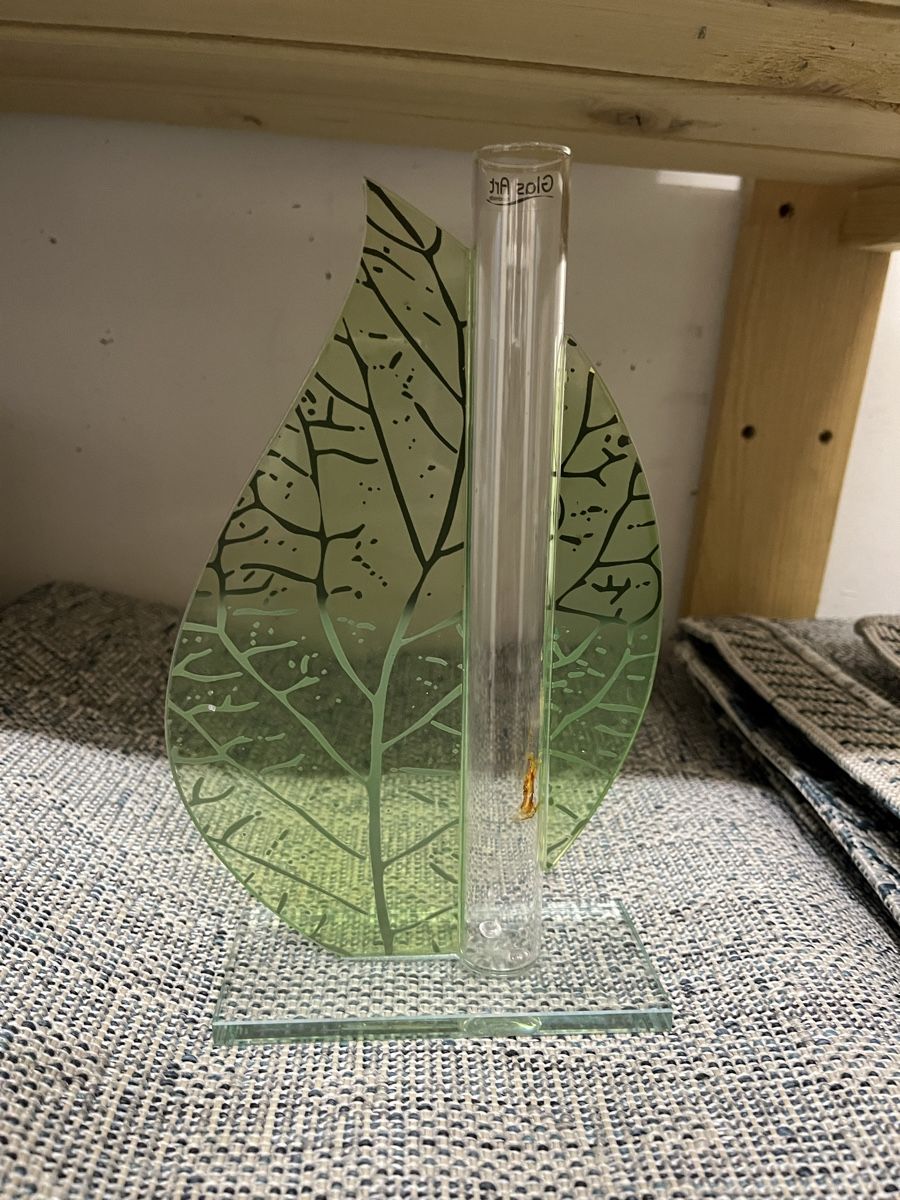 Vase & Récipients: Vase – D'occasion à Gockhausen par Lali013