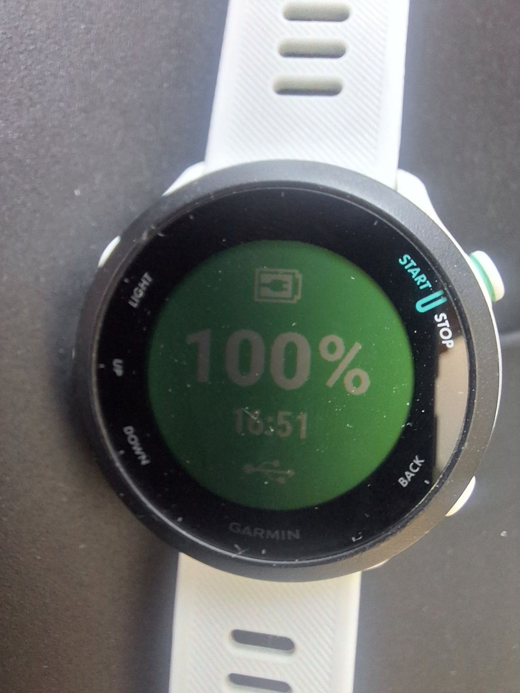 Garmin Smartwatch: Garmin Forerunner 55 – Gebraucht aus Allschwil von SimauK 1